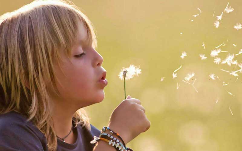 Young child with dandelion