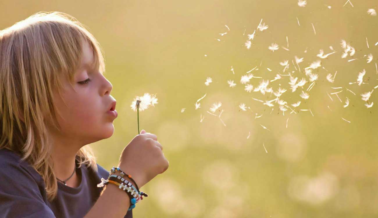 Young child with dandelion
