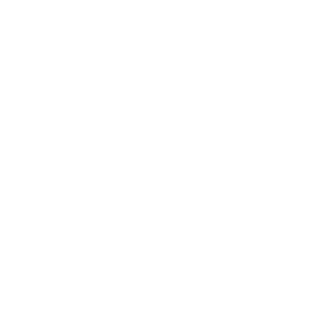 Robot icon